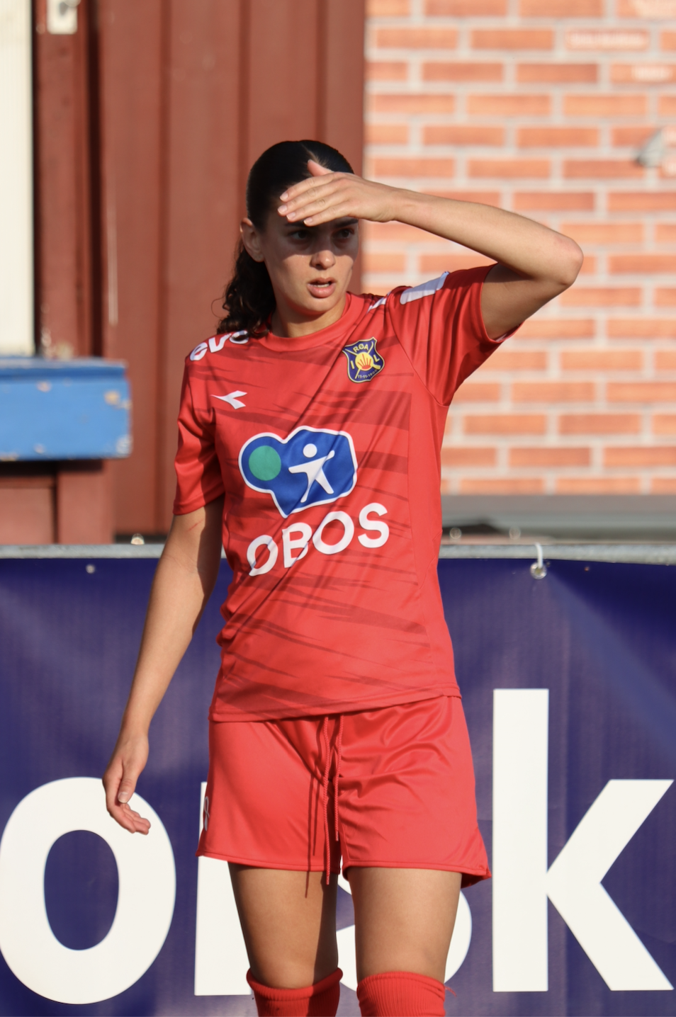 Hasselgård corner.png